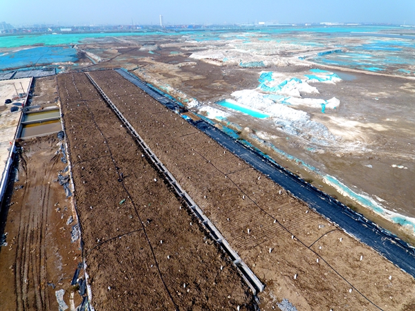 1572258736.jpg DJI_0071.JPG