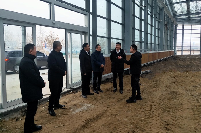 1734096055958956.jpg 12.jpg