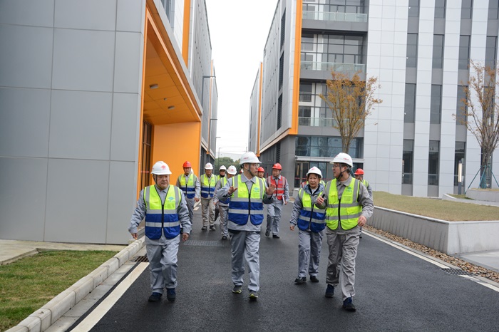 1736235737323280.jpg 1.jpg